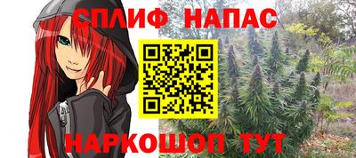 гашик Янаул