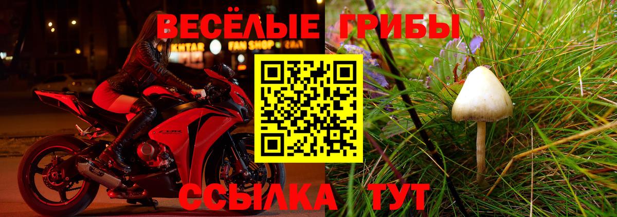 Галлюциногенные грибы прущие грибы Богданович