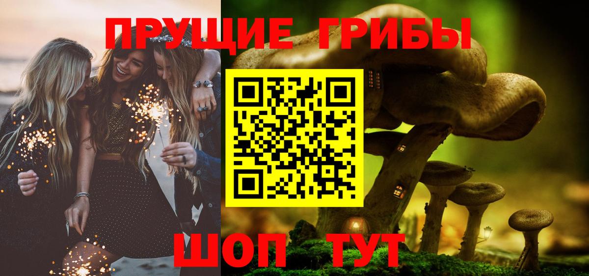 Богданович  Галлюциногенные грибы Psilocybe  Вход с VPN 